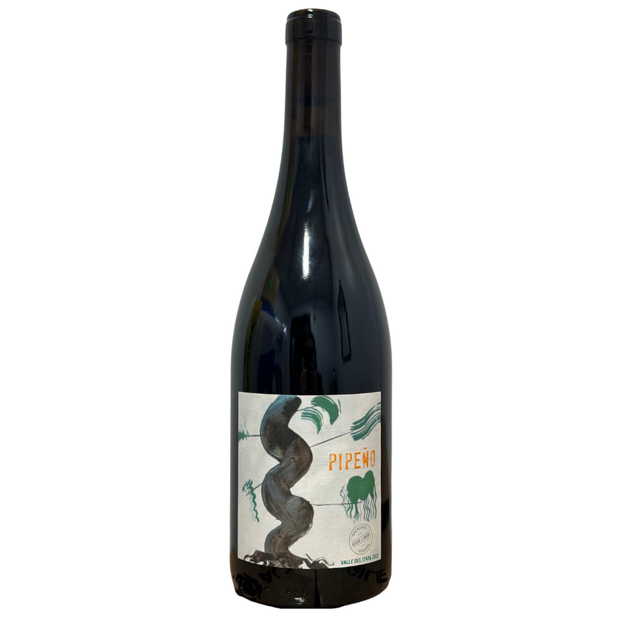 Catalina Ugarte, Pipeño