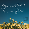 Springtime in a Box 4-Pack