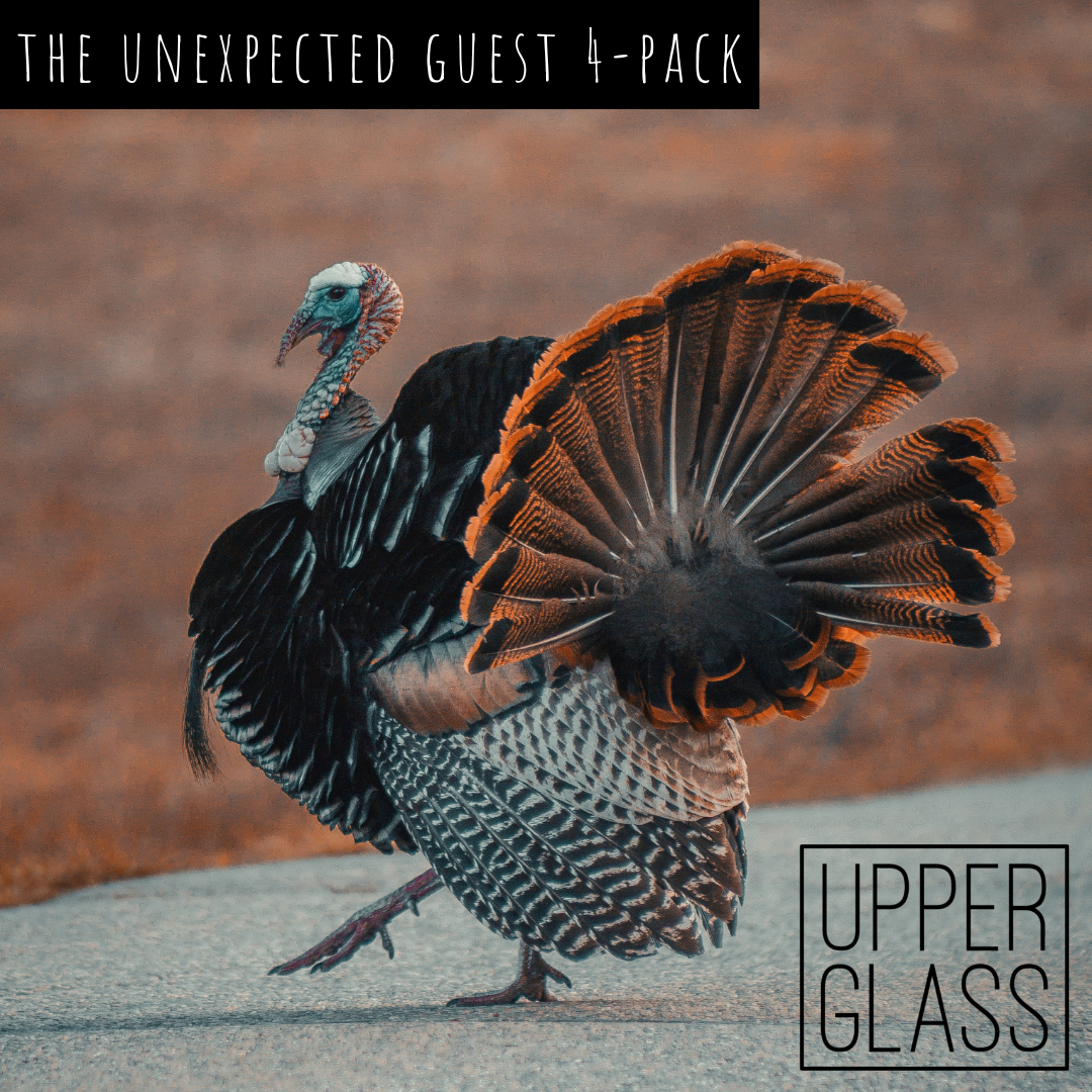 The Unexpected Guest 4-Pack